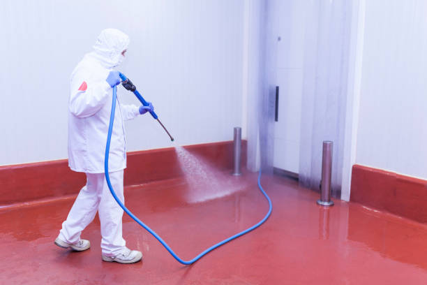 Best Sidewalk and Walkway Cleaning  in Fairmount, IN